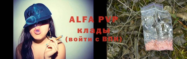 сатива Аркадак