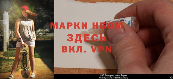 сатива Аркадак