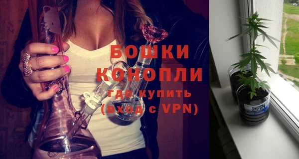 сатива Аркадак