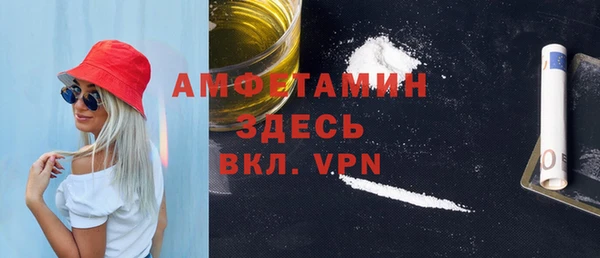 сатива Аркадак